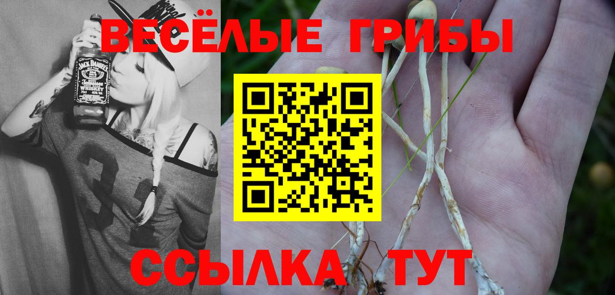 наркота  Галлюциногенные грибы ЛСД  Вход с VPN  Псилоцибиновые грибы Psilocybine cubensis  Златоуст 